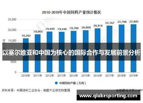 以塞尔维亚和中国为核心的国际合作与发展前景分析